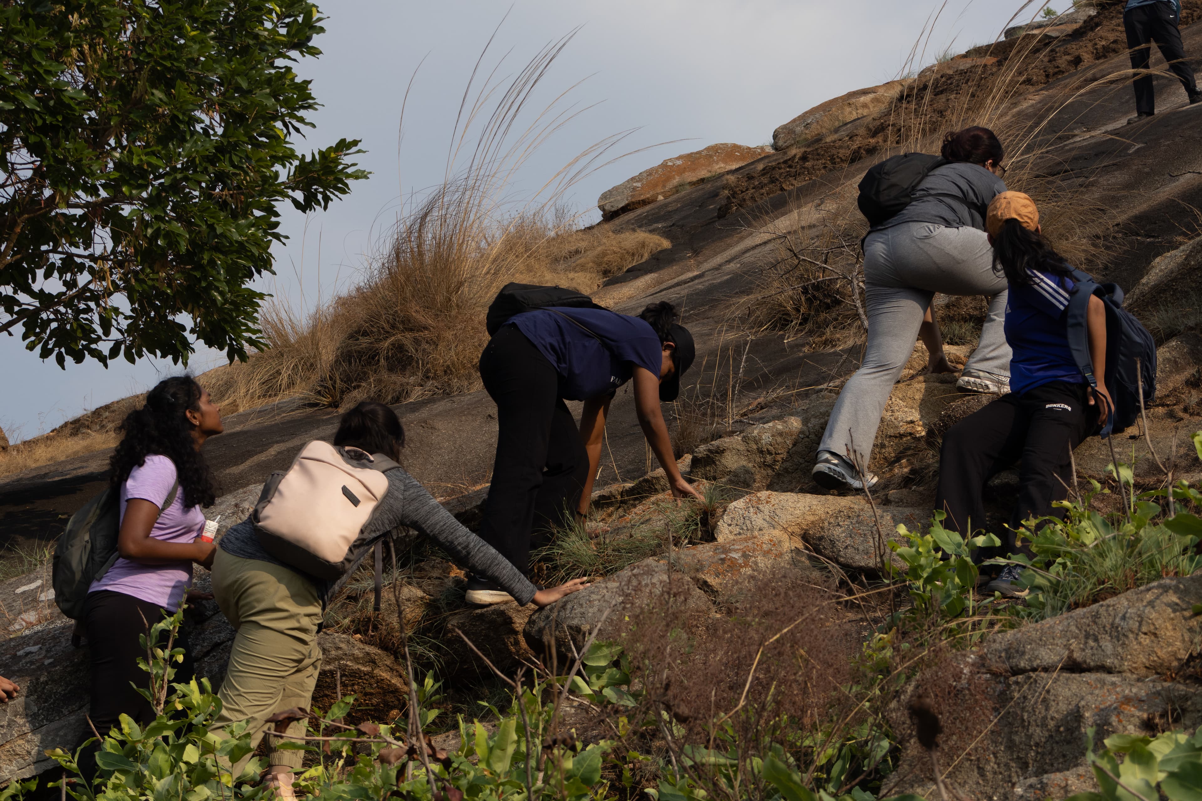 Bouldering